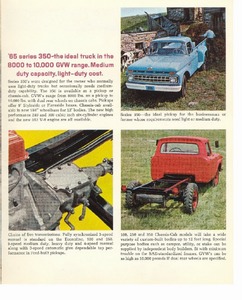1965 Ford & Mercury Trucks (Cdn)-10.jpg